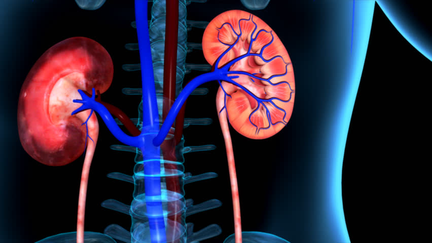 best kidney hospital in jharkhand